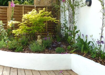 Contemporary town garden